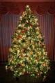 christmas tree.jpg
