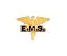 Cad EMS gold
