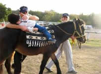 http://www.petscareinfo.co.uk/wp-content/uploads/2011/11/Equine-Therapy.jpg